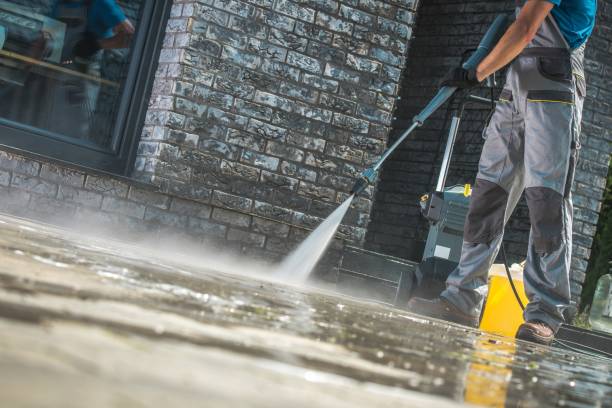 Best Animal Enclosure Cleaning  in Woodbury Heights, NJ